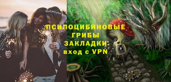 эйфоретик Новозыбков