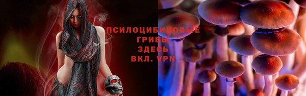 эйфоретик Новозыбков