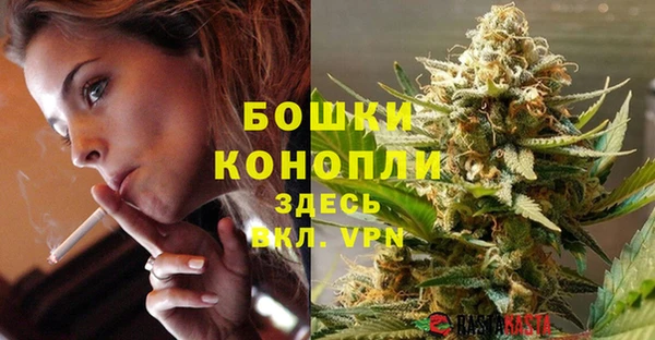 эйфоретик Новозыбков