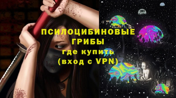 эйфоретик Новозыбков