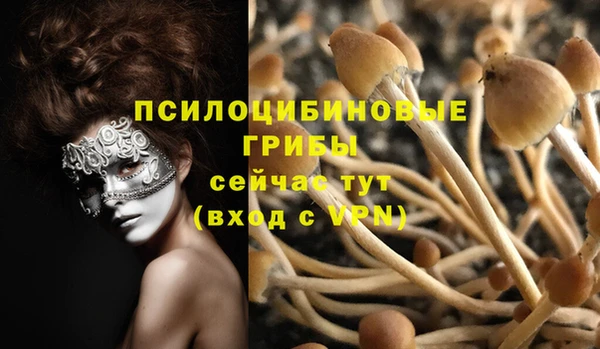 бутират Ладушкин