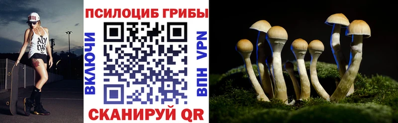 Псилоцибиновые грибы ЛСД  KRAKEN сайт  Протвино 